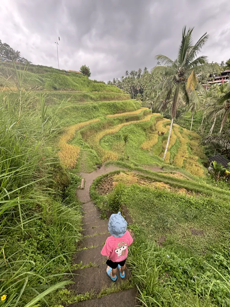 Bali Kind auf Reisterrasse