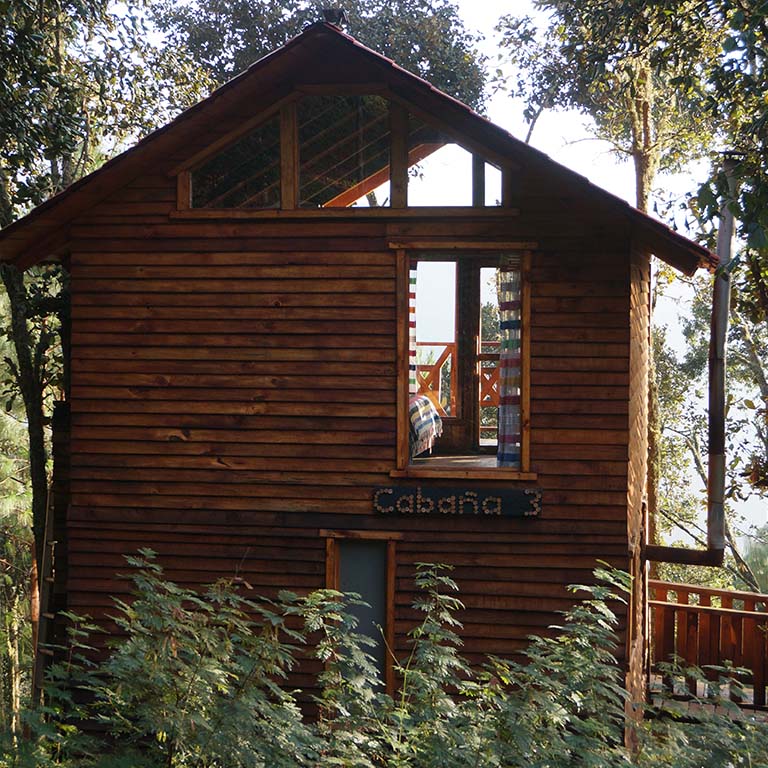 san-jose-del-pacifico Baumhaus in San José del Pacifico