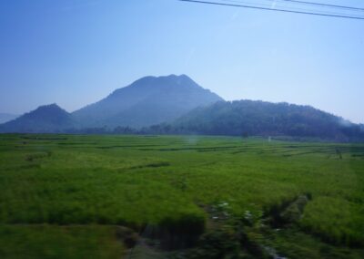 Grüne Felder und Berge Java Zugfahrt