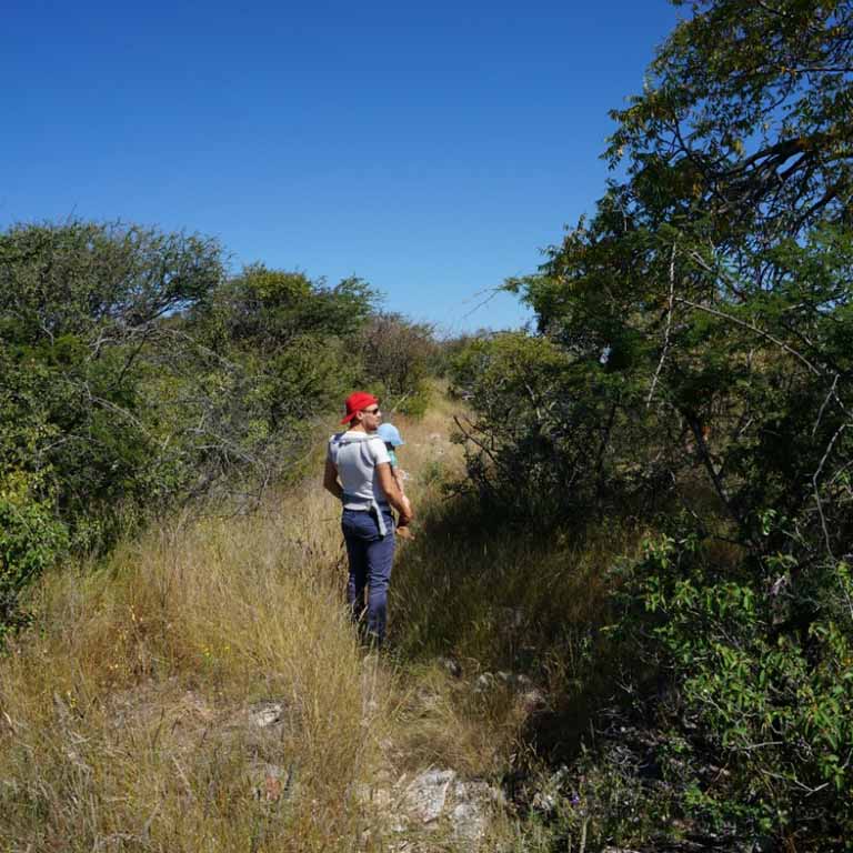 Wanderung bei Frans Indongo Lodge nahe Waterberge Wanderung bei Frans Indongo Lodge nahe Waterberge