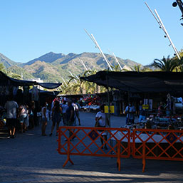 Mercadillo Markt in Marbella